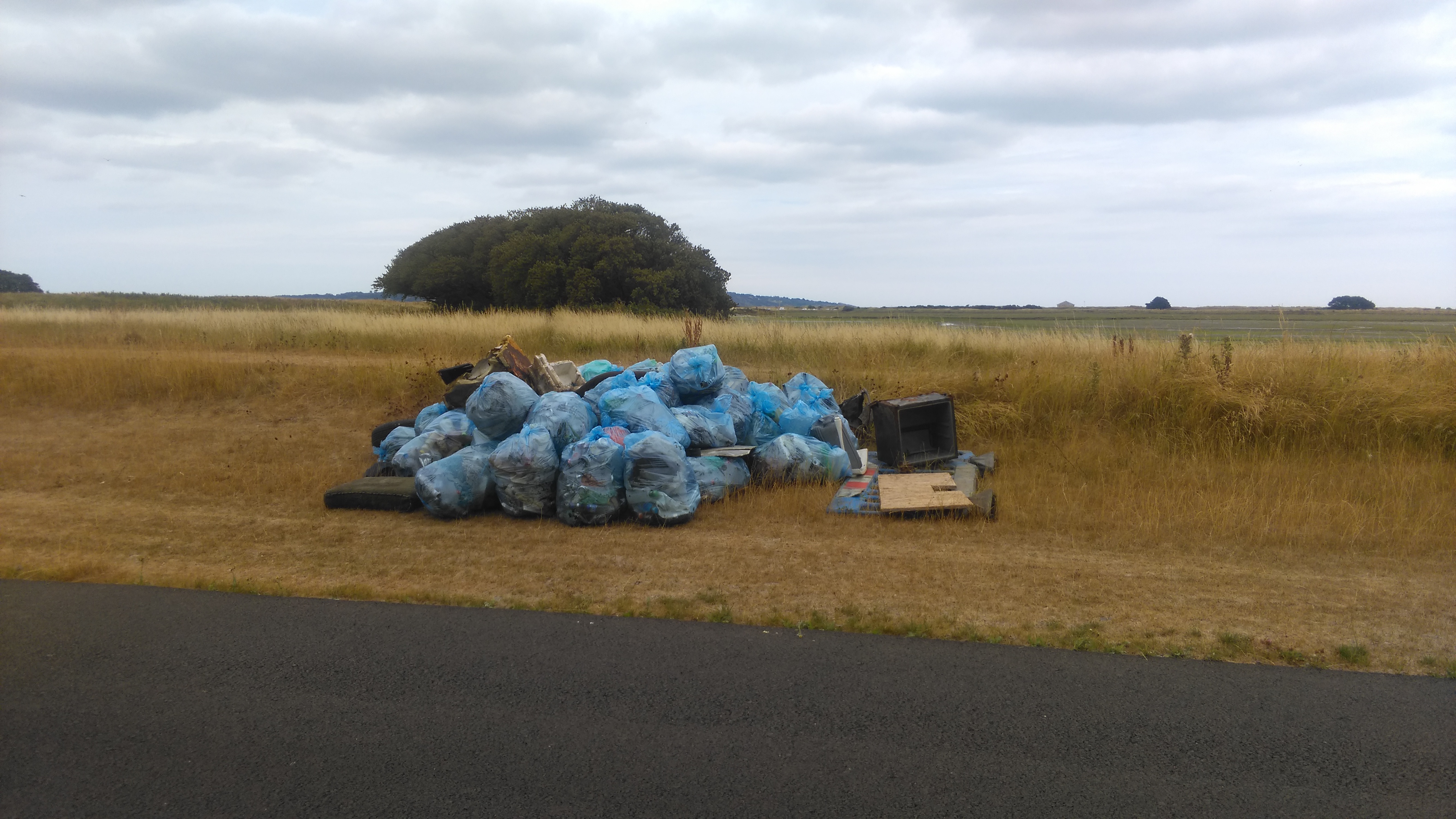 Rubbish Dublin Beach
