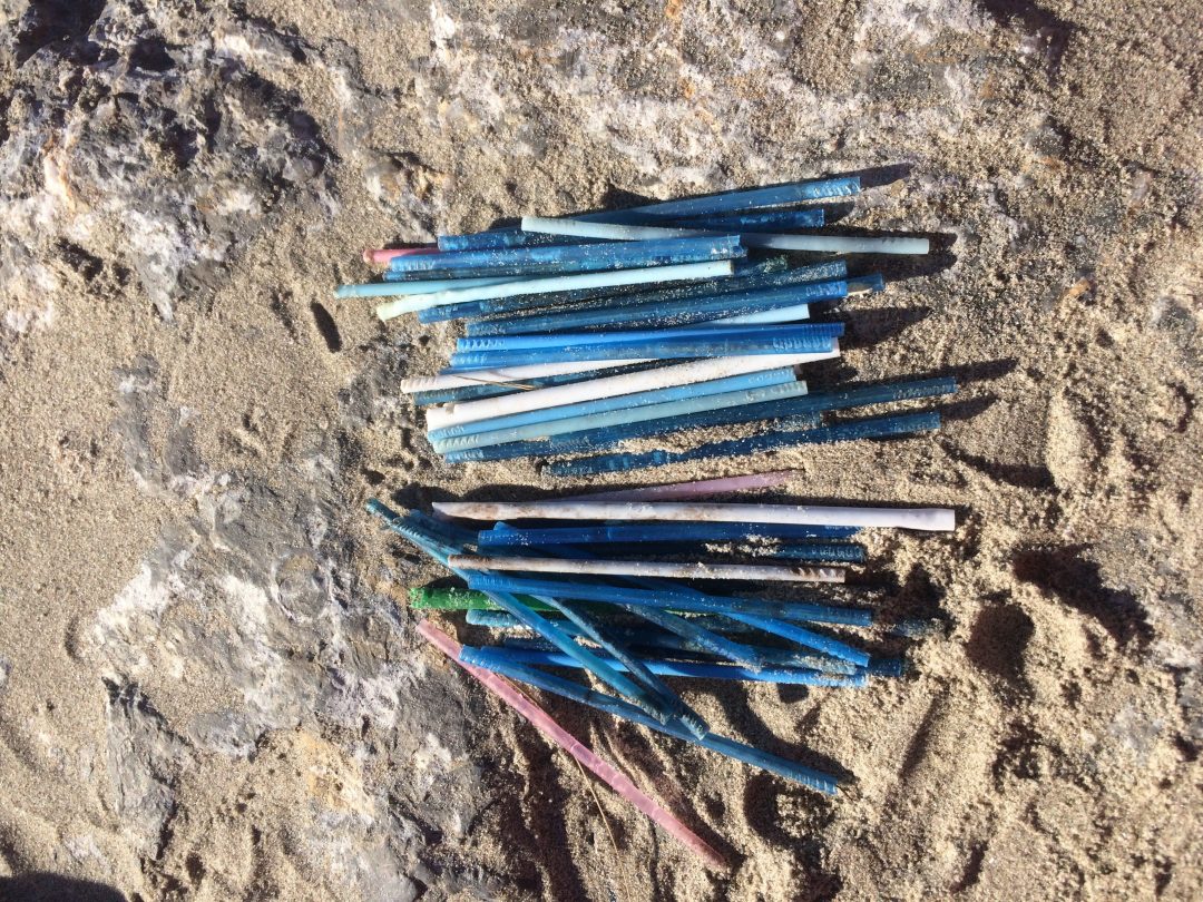 Cotton Buds on beach Ireland