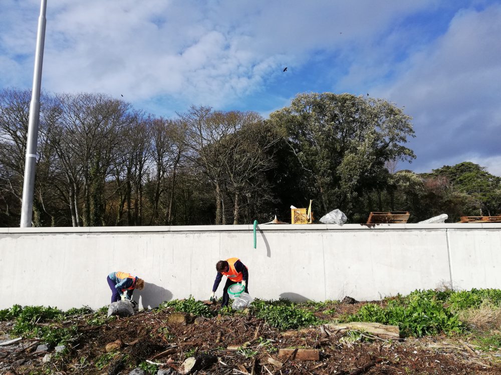 Volunteer Beach Clean Dublin