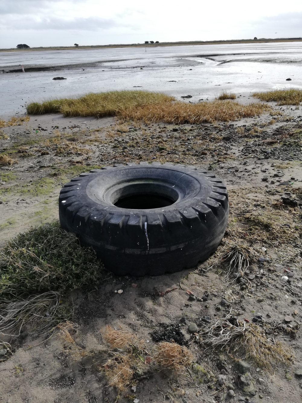 Tire Beach Dublin Litter