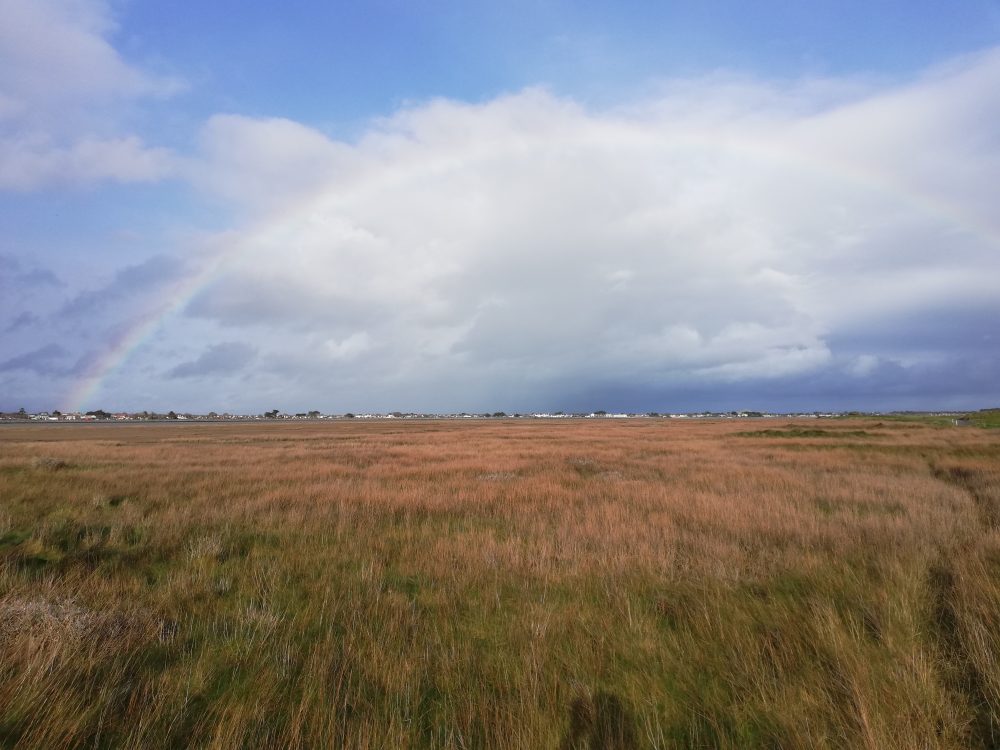 Bull Island Nature Reserve