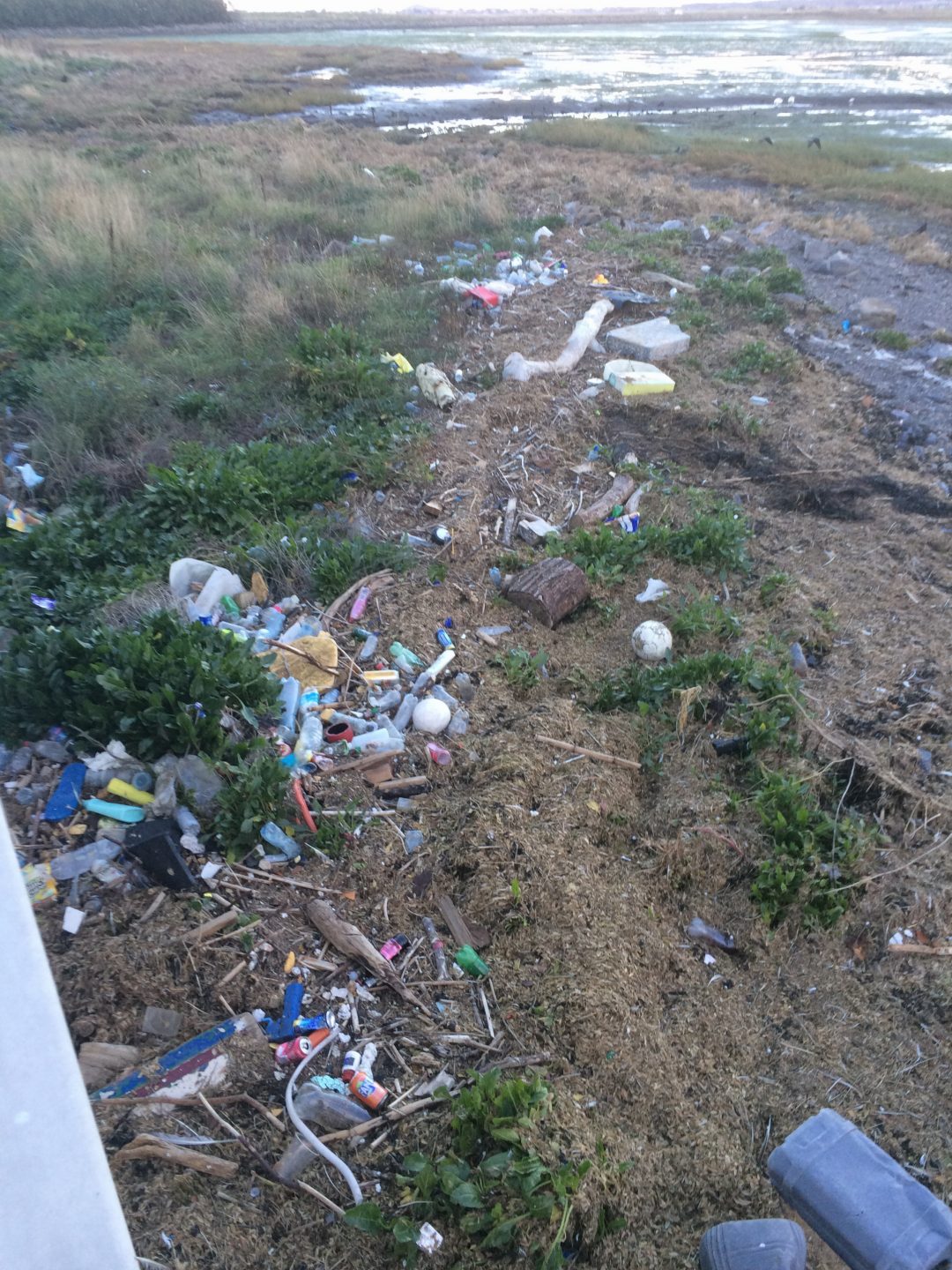 Plastic beach Ireland