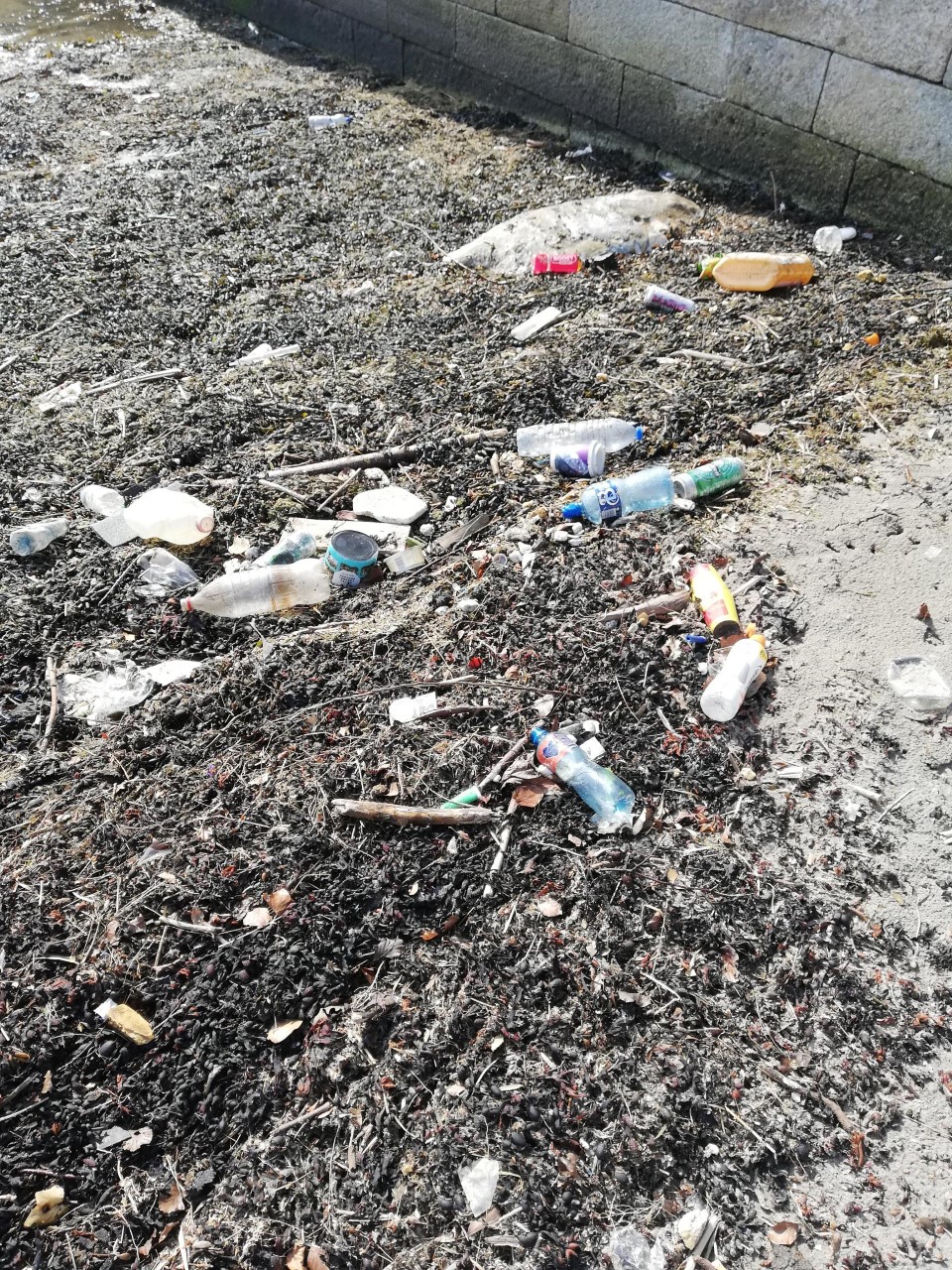 Volunteer Beach Clean Dublin