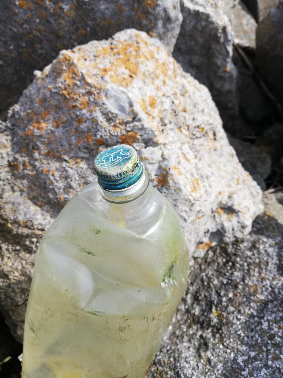 Plastic litter Bottles Dublin