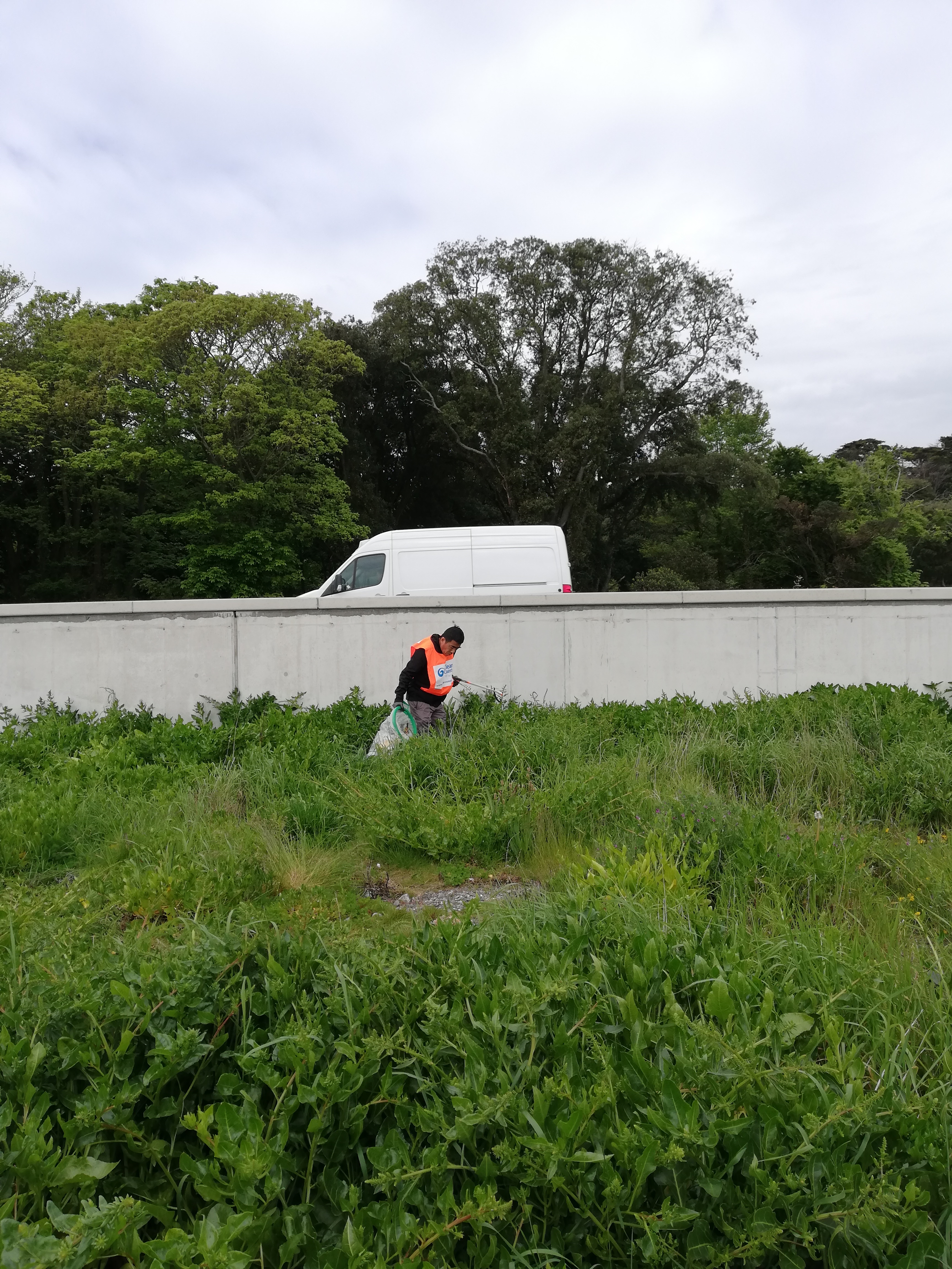 Plastic waste Dublin