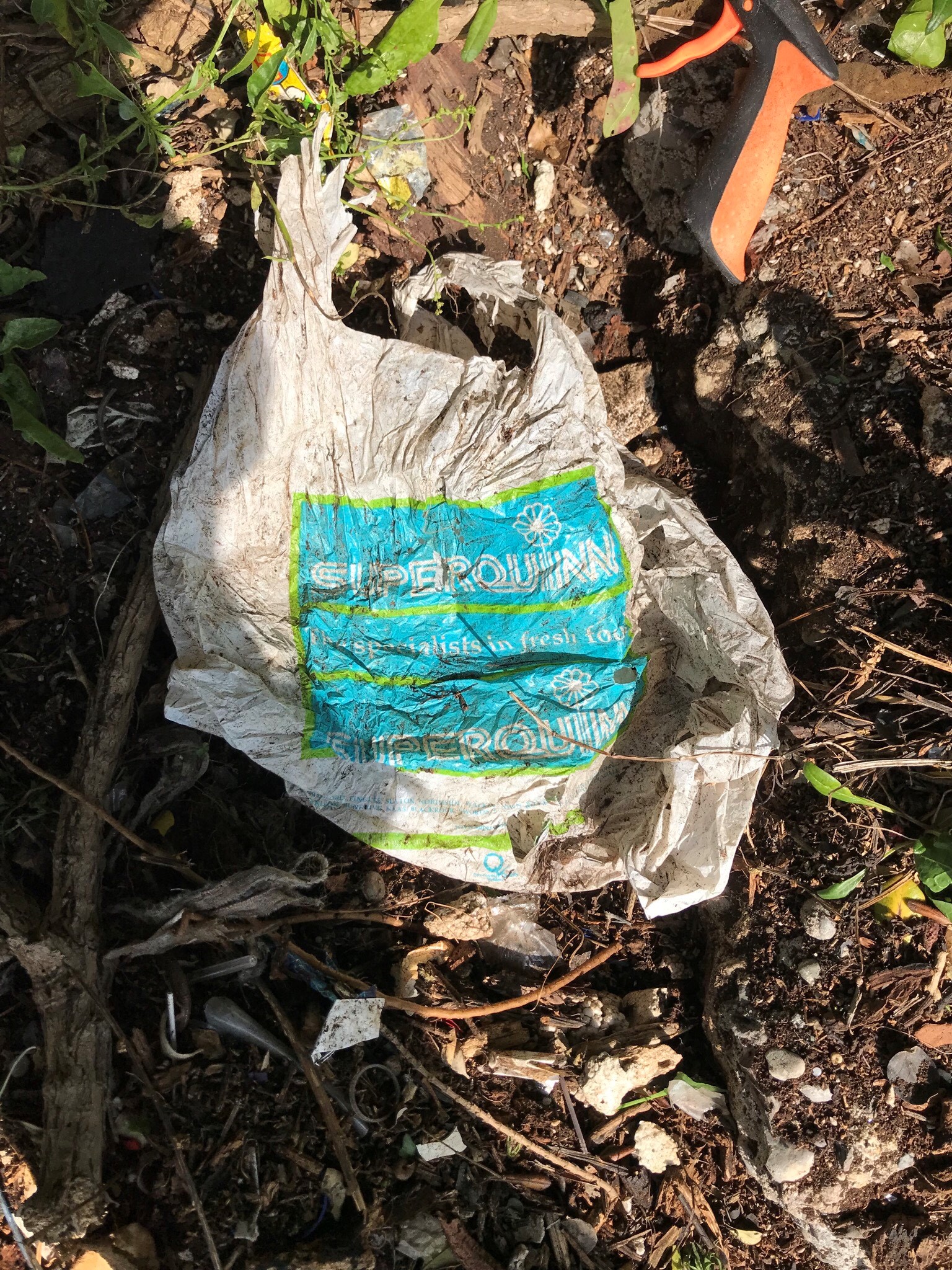 Plastics in Dublin Bay Biosphere